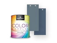 Benjamin Moore paint color samples can in front of Titanium OC-49. Benjamin Moore paint color samples can in front of Titanium OC-49.